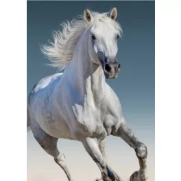 kone, lovas fleecová deka 100*140cm