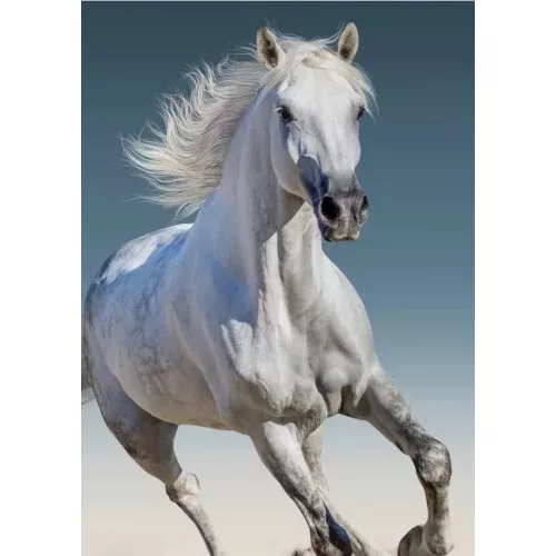 kone, lovas fleecová deka 100*140cm