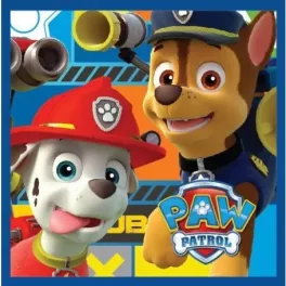   uterák na tvár paw patrol magic hand towel, uterák 30*30cm