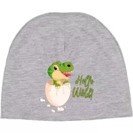 detský čiapok pre malého chlapecka s dinos sivá