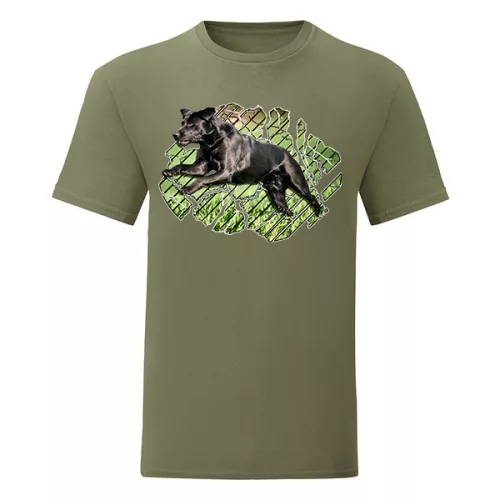 zelené tričko psa labrador