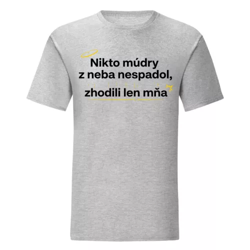 Nikto múdry z neba nespadol, zhodili len mňa (šedé pánske tričko)