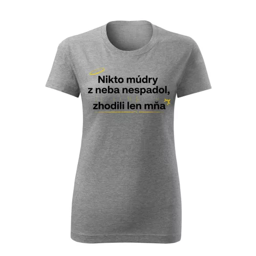 Nikto múdry z neba nespadol, zhodili len mňa (šedé dámske tričko)