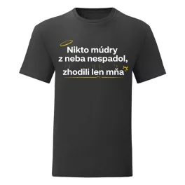   Nikto múdry z neba nespadol, zhodili len mňa (čierny pánske tričko)