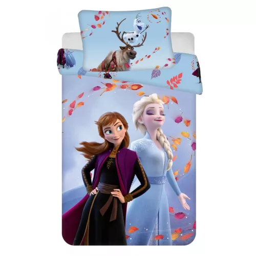 detská prikrývka na posteľ disney frozen wind 100×135 cm, 40×60 cm